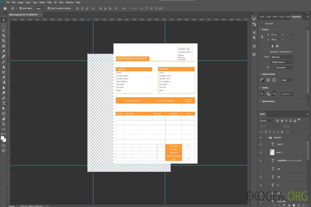 Modèle de facture pro forma vierge template